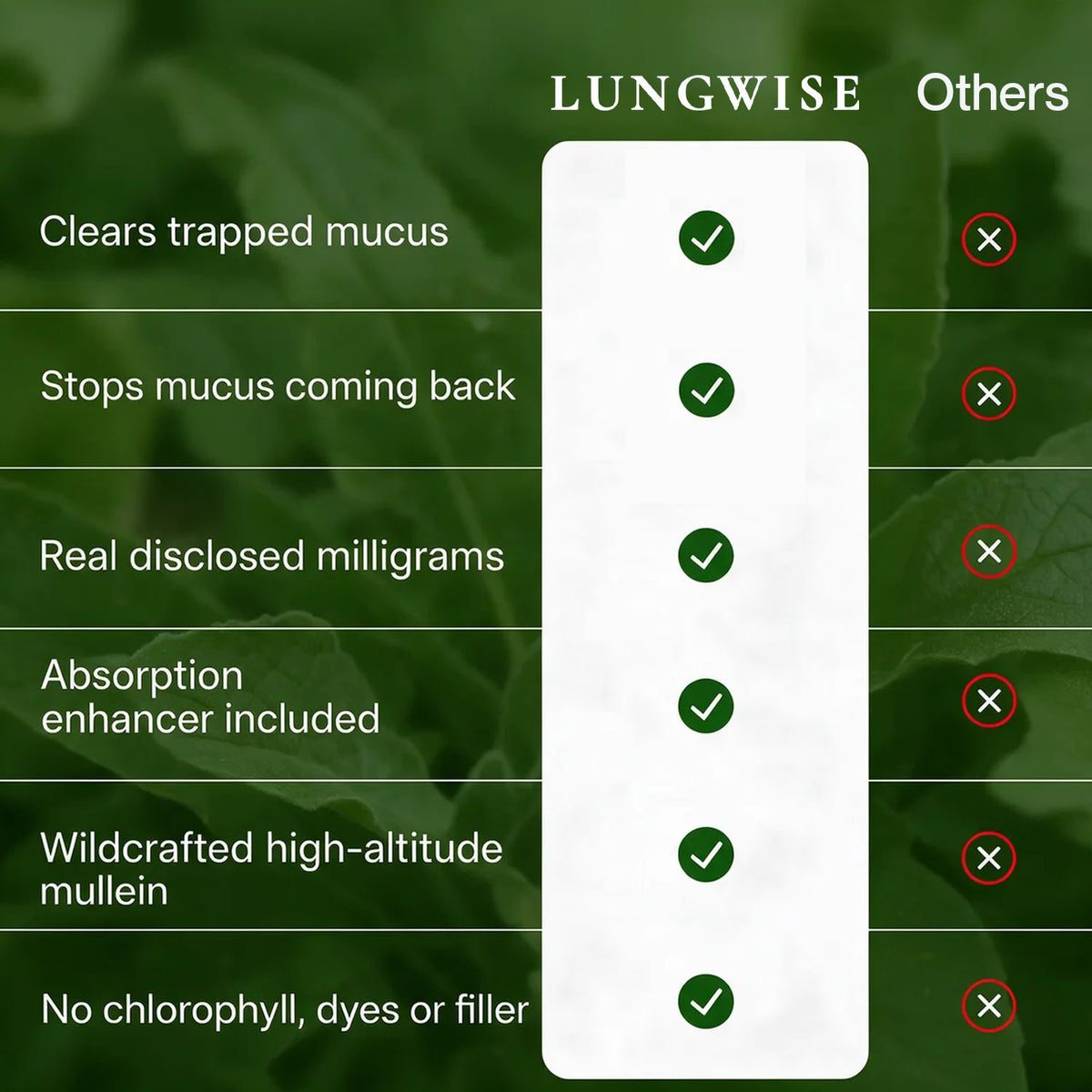 LungWise Mullein Drops | Advanced Formula