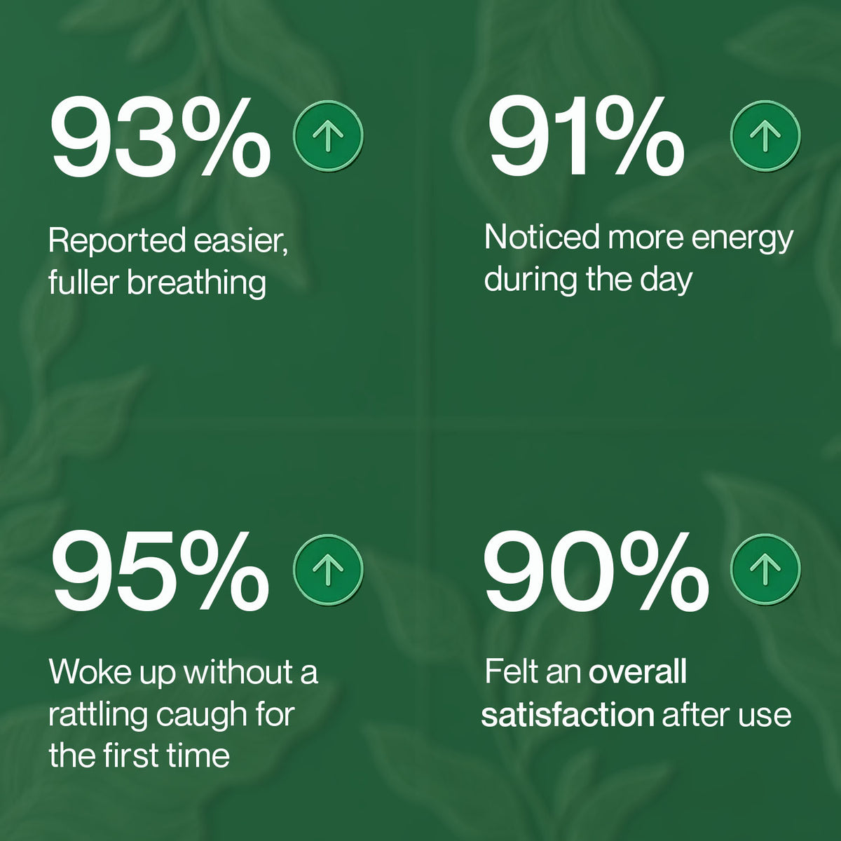 LungWise Mullein Drops | Advanced Formula