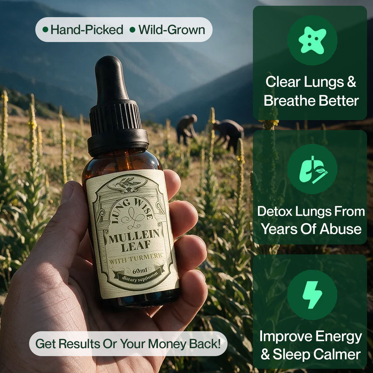 LungWise Mullein Drops | Advanced Formula