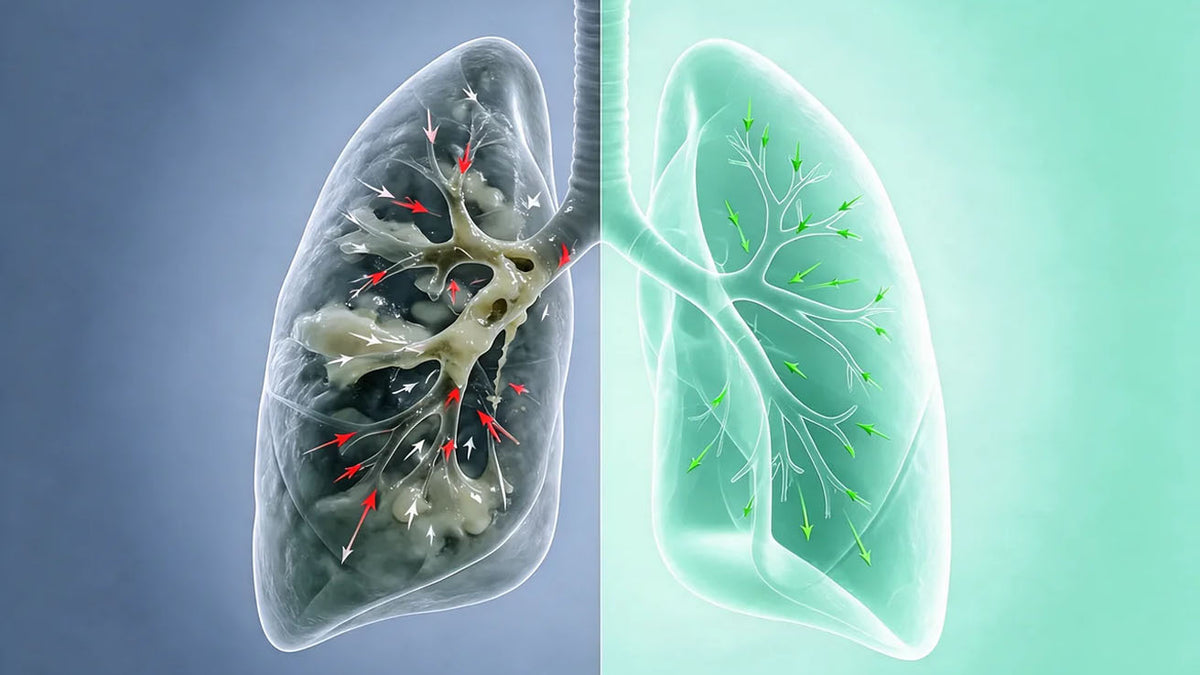 Comparison of clogged and unclogged lungs