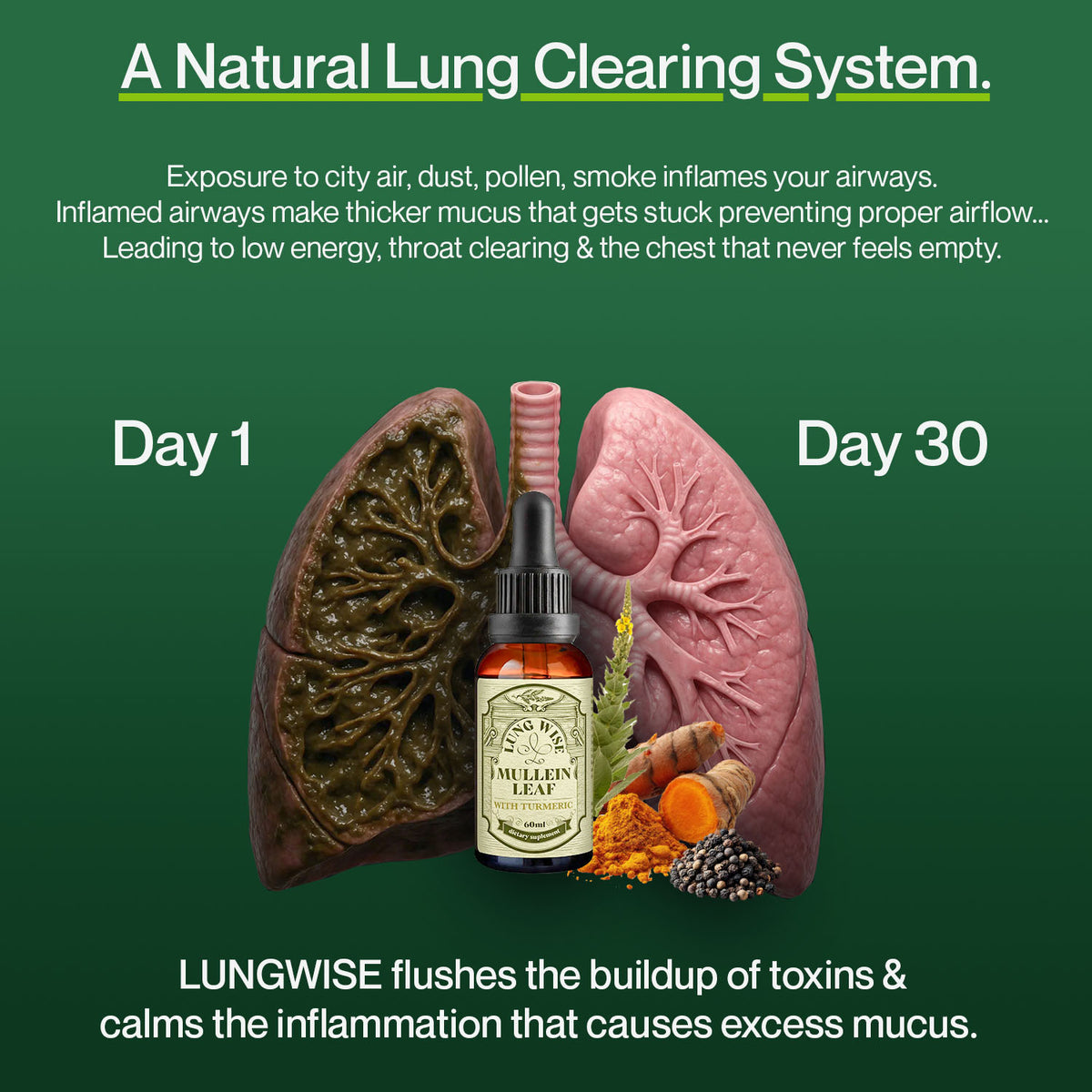 LungWise Mullein Drops | Advanced Formula
