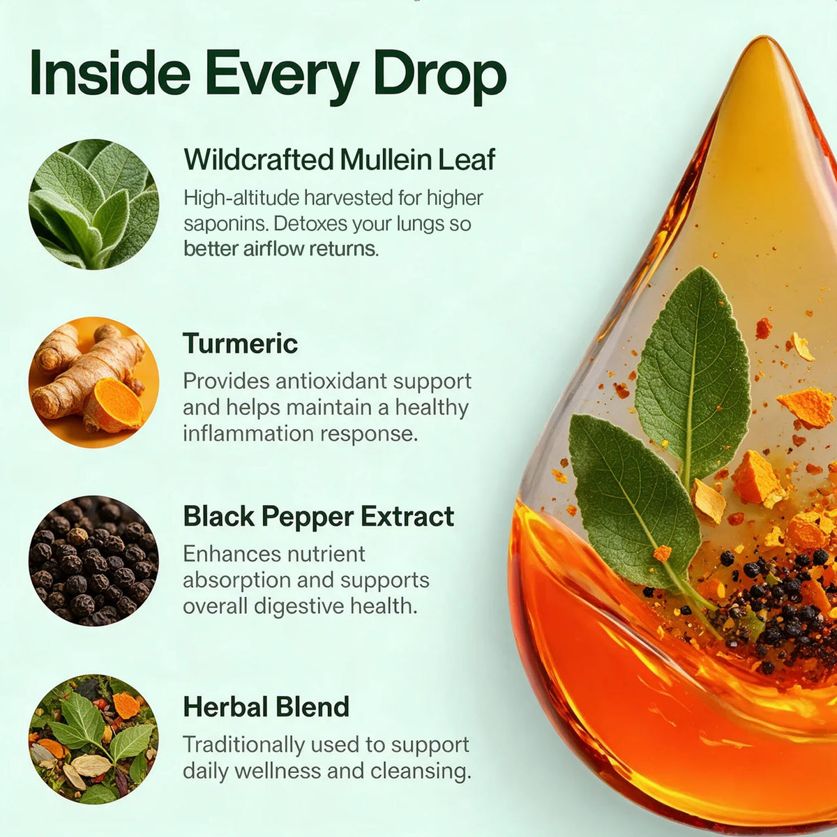 LungWise Mullein Drops | Advanced Formula